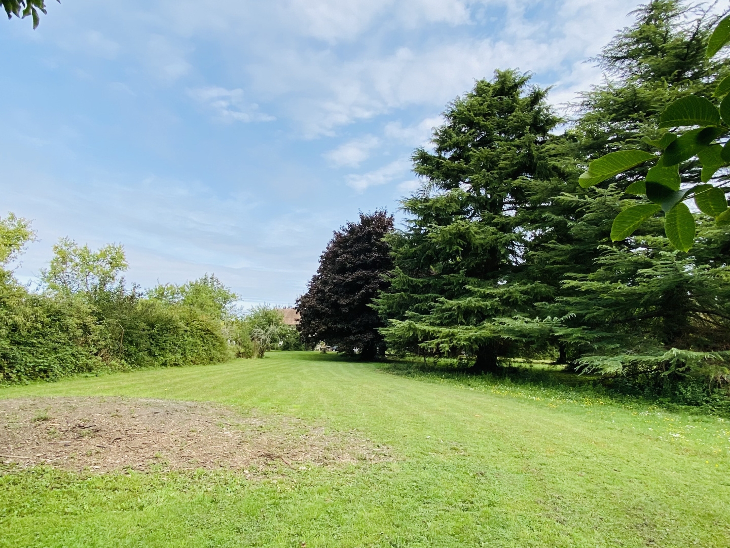 Superbe terrain paysagé et arboré 3 679 m2 dont 874 m2 constructibles