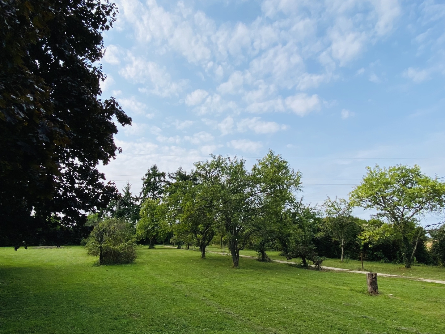 Terrain à vendre - 3679m2 - Villeblevin (89340)