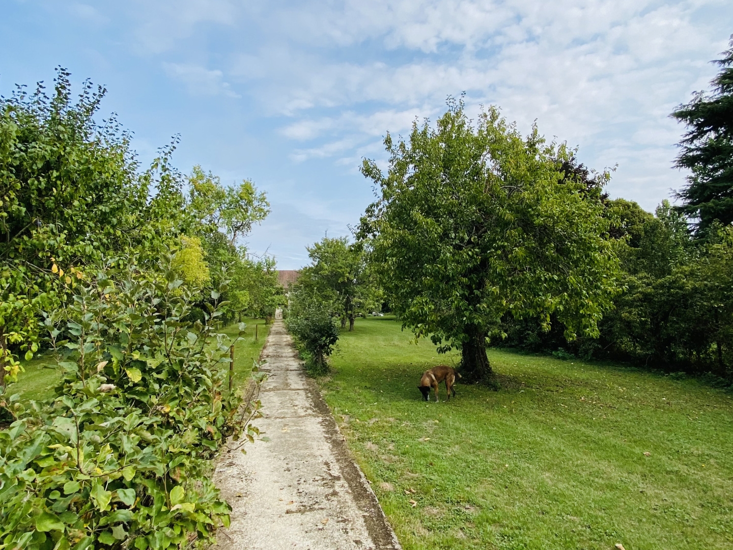 Terrain à vendre - 3679m2 - Villeblevin (89340)