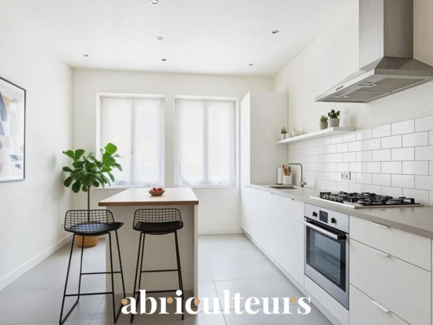 Appartement traversant avec grande terrasse et parc arboré, coeur de la Croix-Rousse