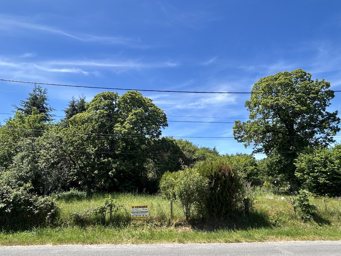Terrain 5541 m²