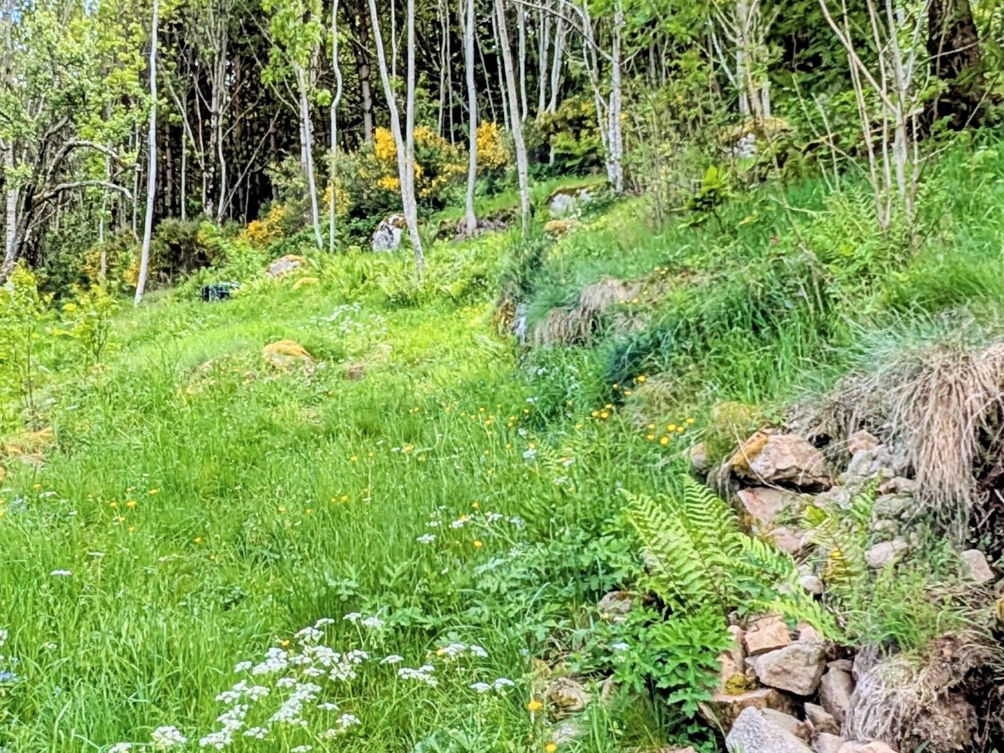 Terrain de loisirs 143698 m²