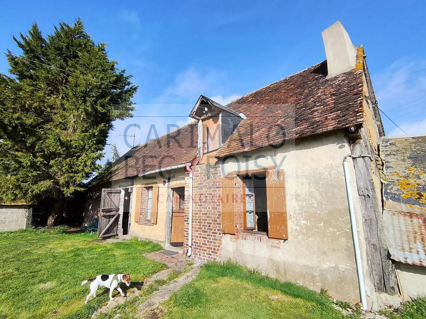 Maison
