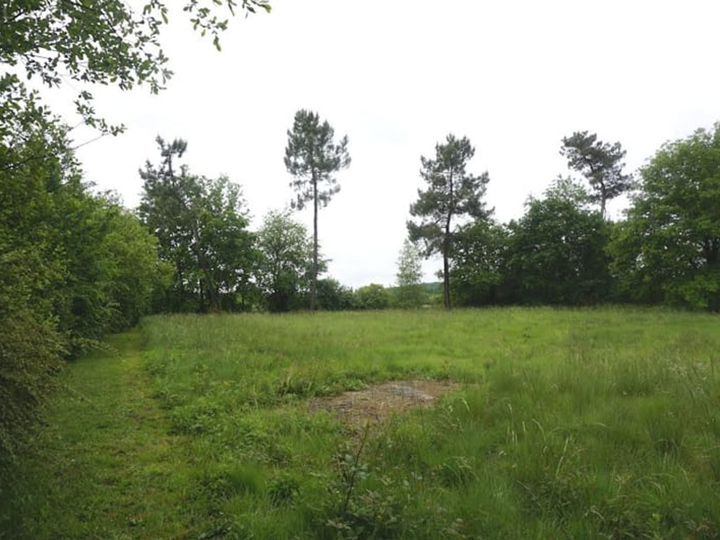 Terrain à vendre - 2604m2 - Eauze (32800)