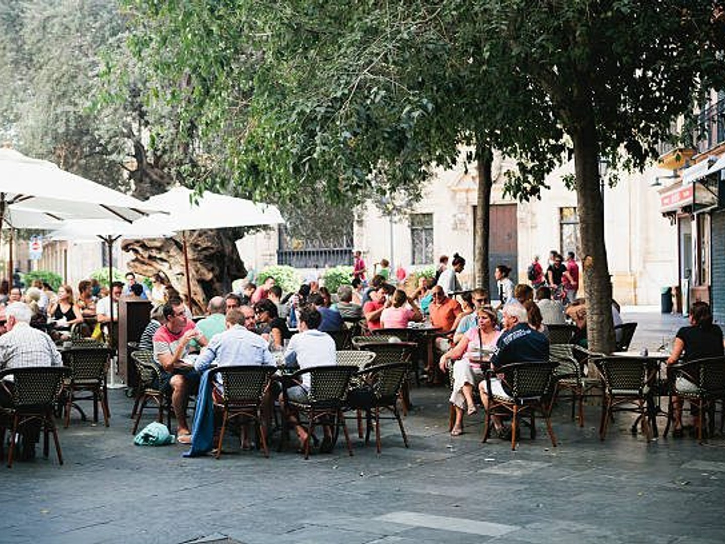 Local commercial 88 m²