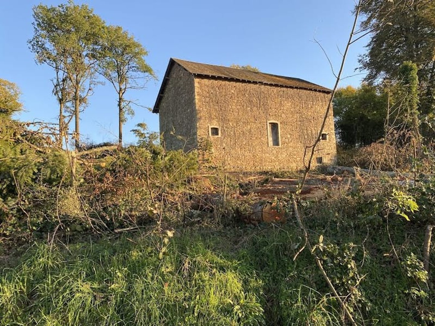 Maison à vendre - Châteauneuf-La-Forêt (87130)