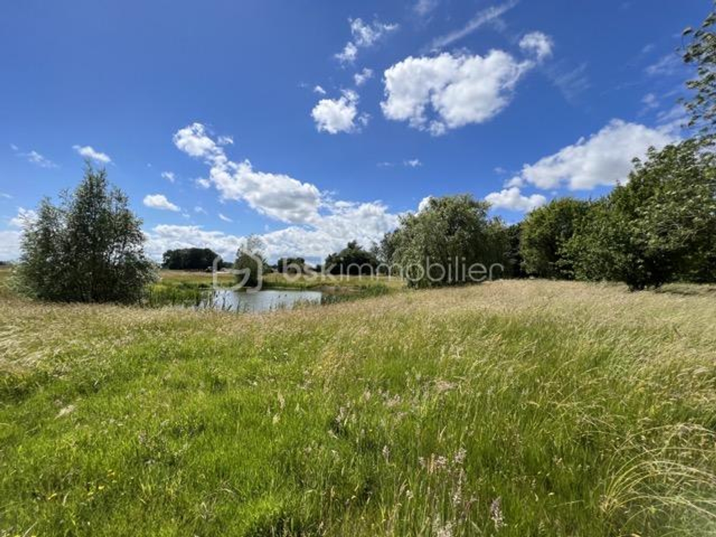 Maison à vendre - 800m2 - Fontenay-Trésigny (77610)