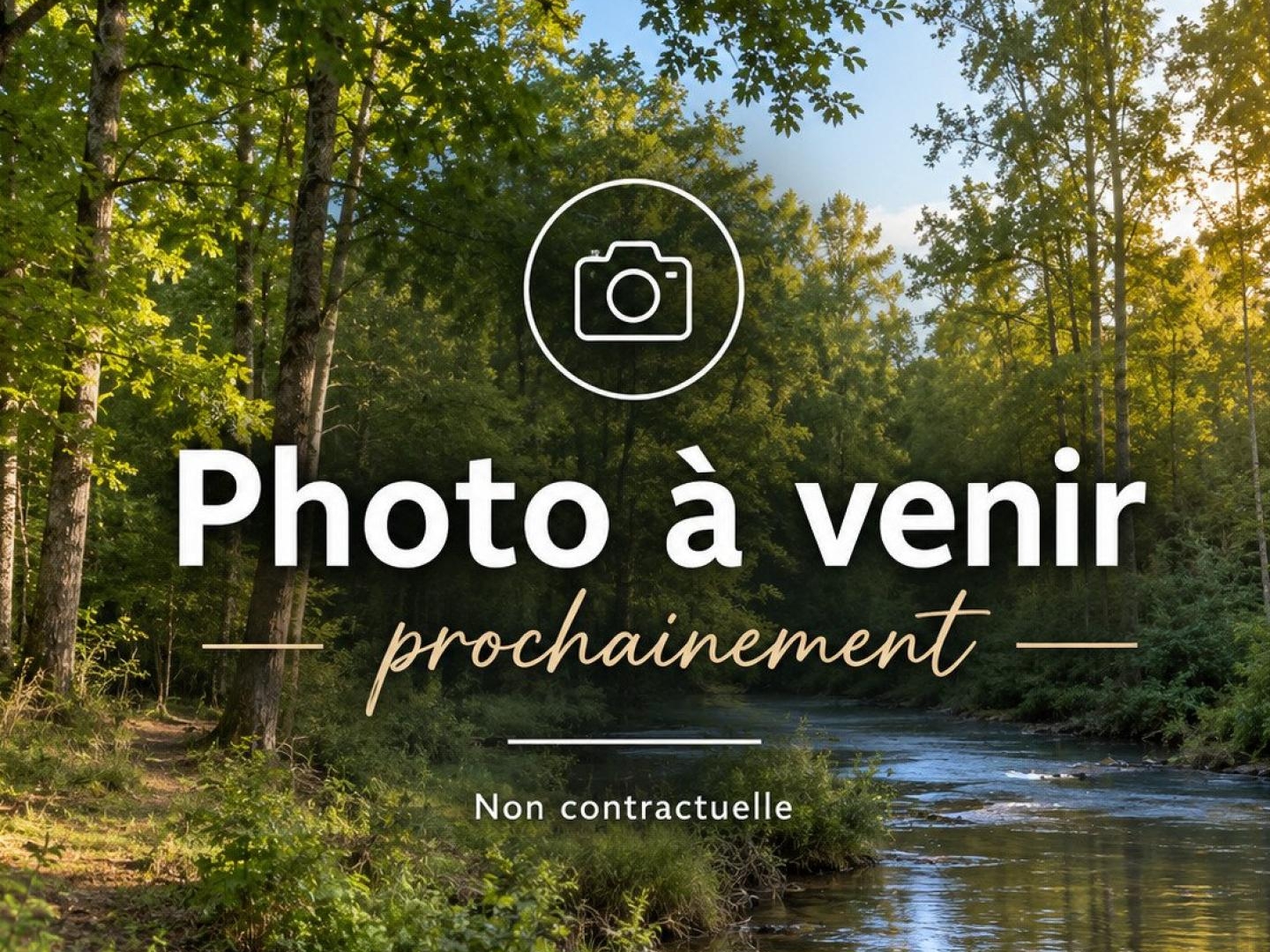 Terrain boisé de production avec rivière - Marne