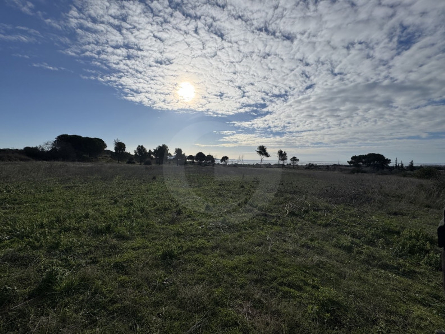 Terrain 8216 m²