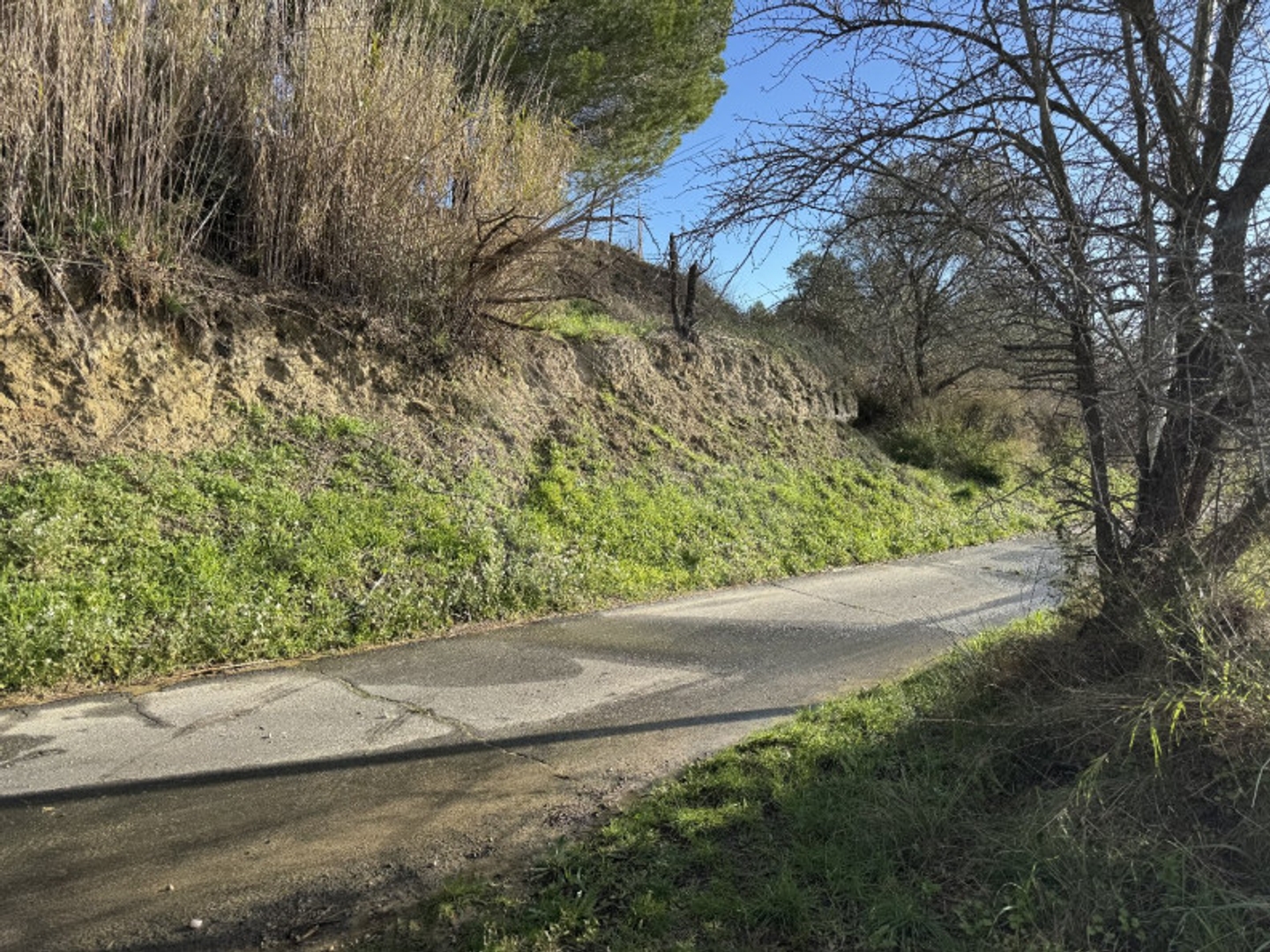 Terrain à vendre - 8216m2 - Loupian (34140)