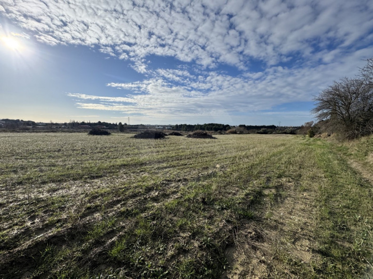 Terrain à vendre - 8216m2 - Loupian (34140)