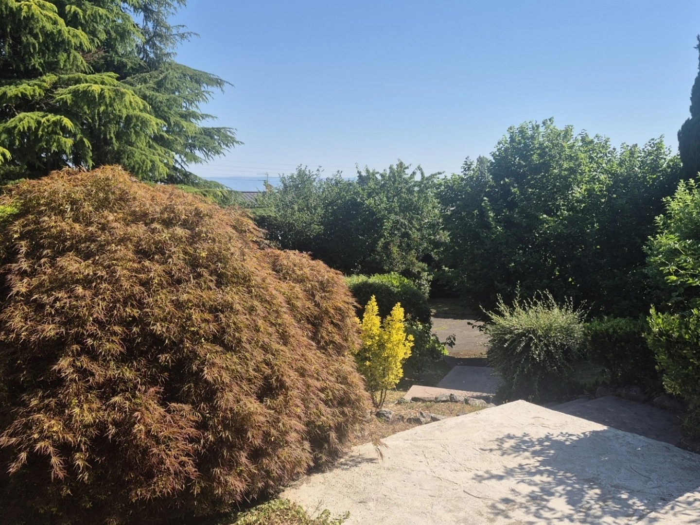 Maison à vendre - 7 pièces - 240m2 - Évian-Les-Bains (74500)