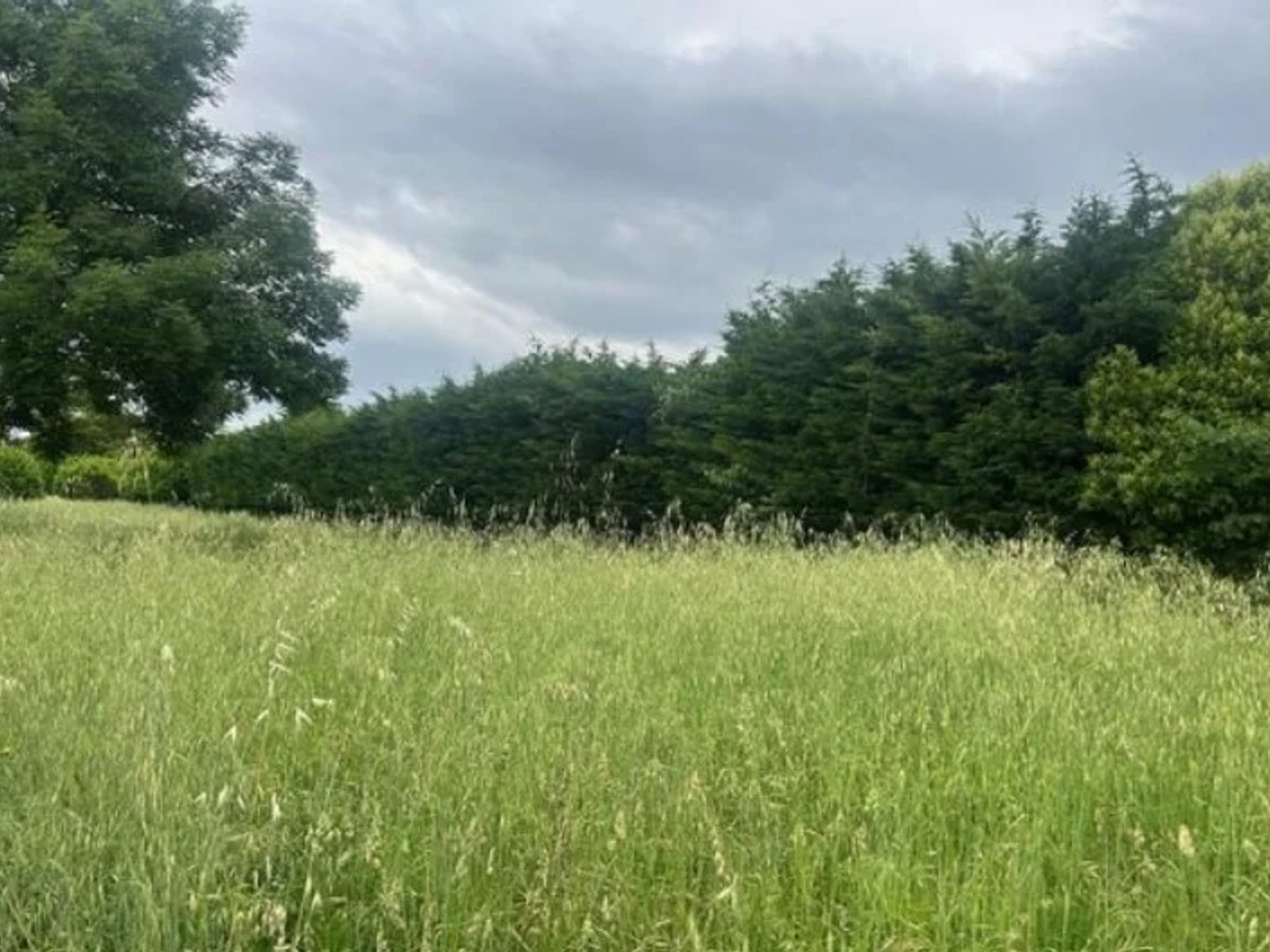 Terrain 540 m²