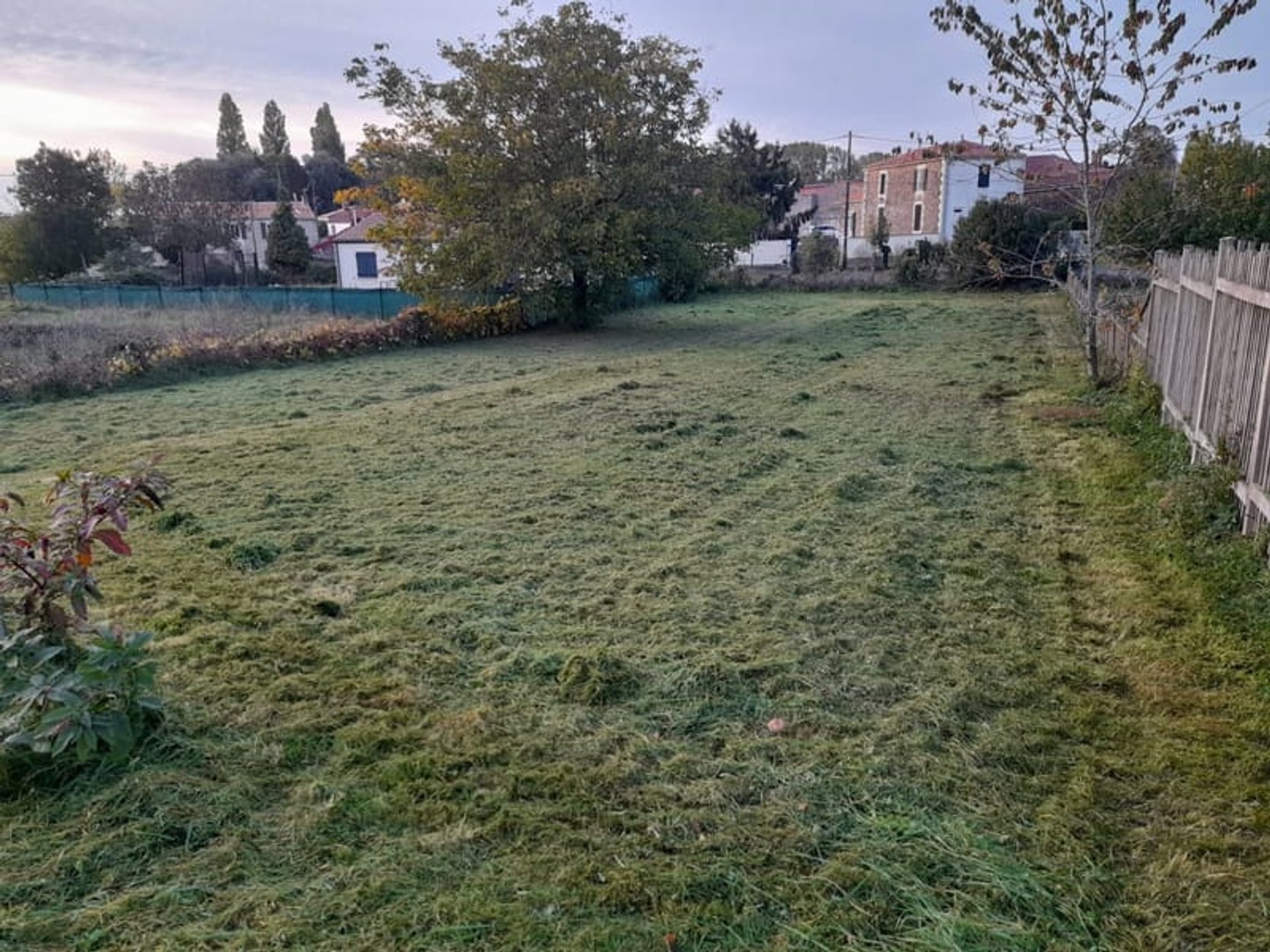 Terrain