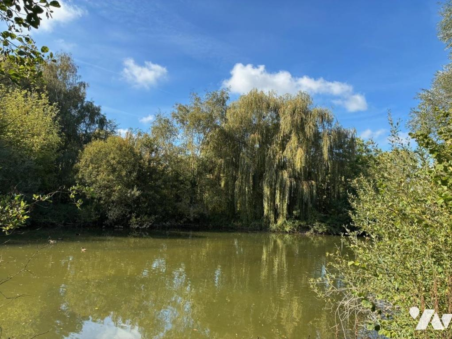 Terrain 9528 m²