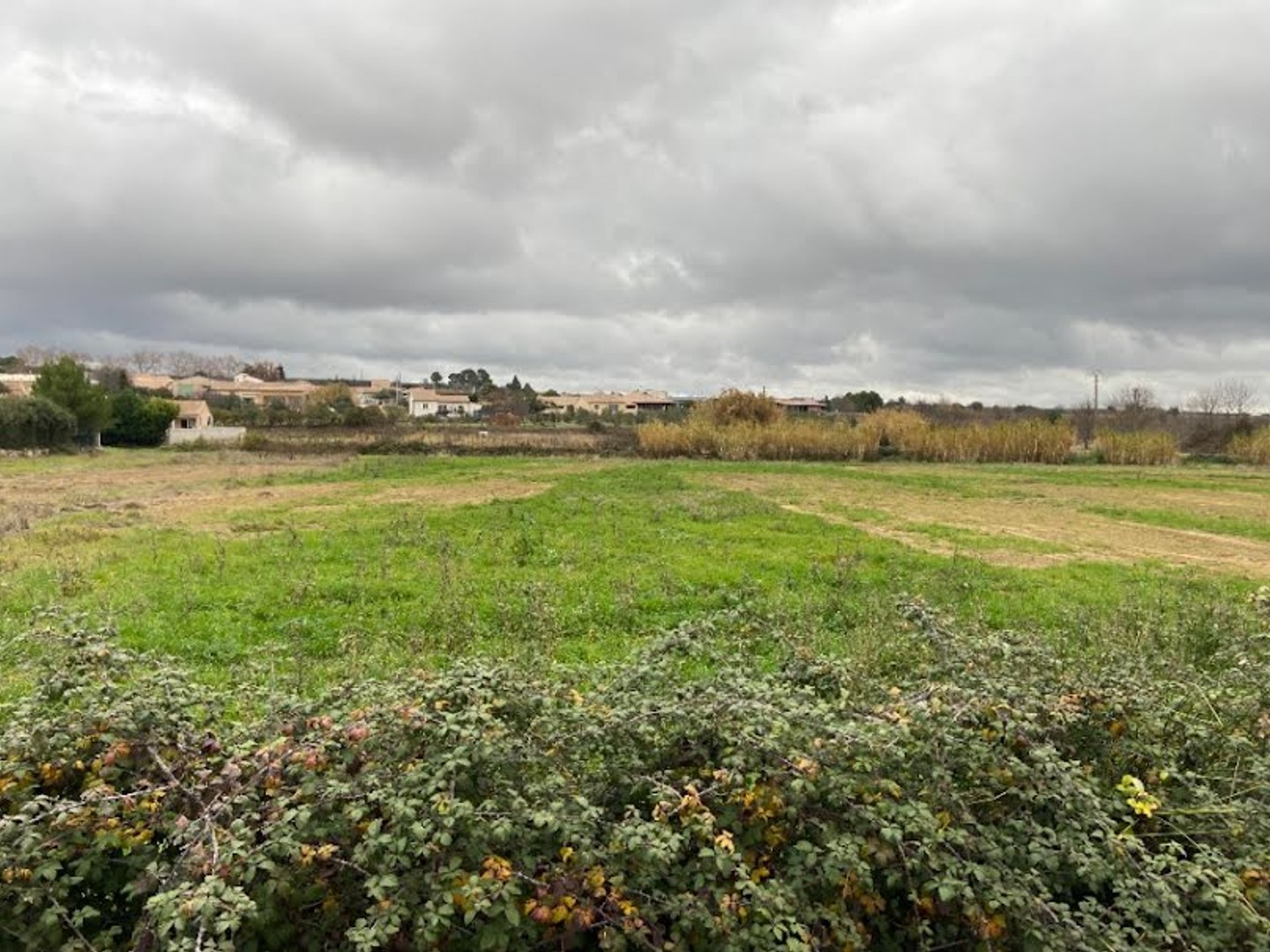 Terrain 350 m²