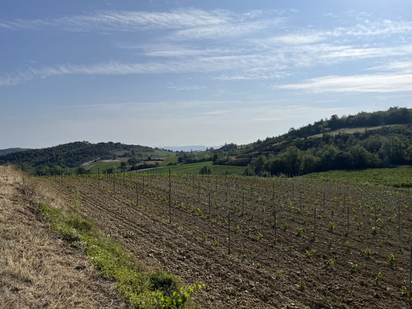 Maison à vendre - 110m2 - Saint-Polycarpe (11300)