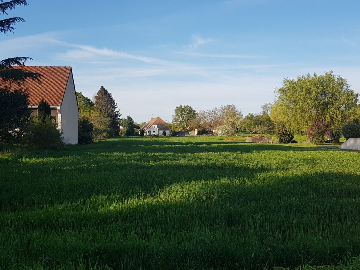 Terrain 4880 m²