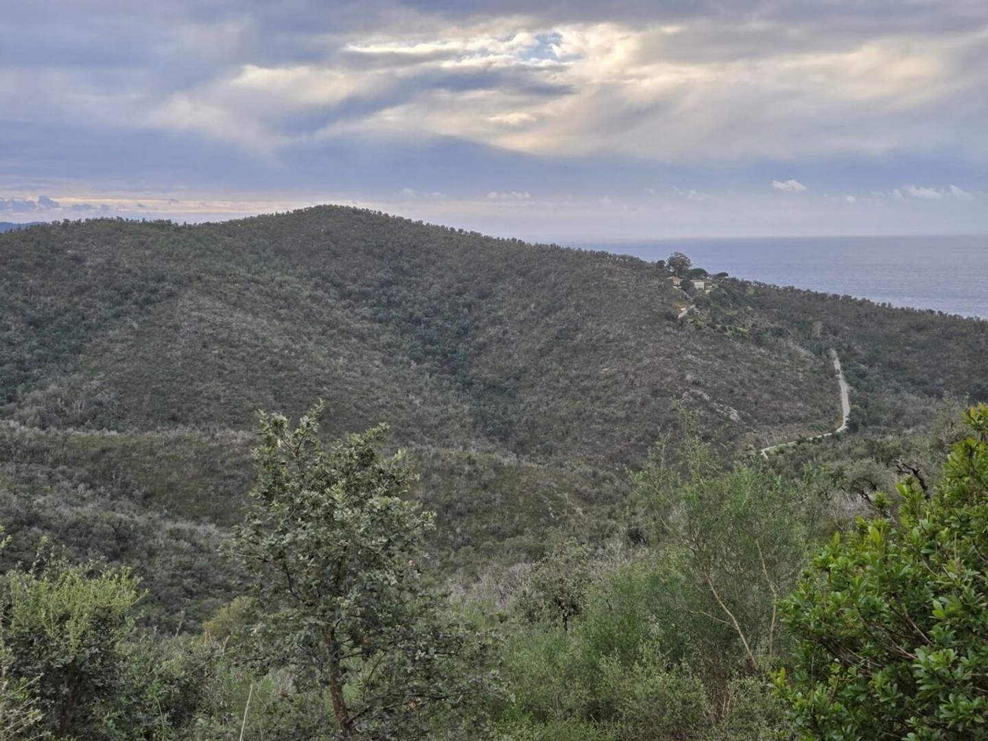 Terrain 67280 m²