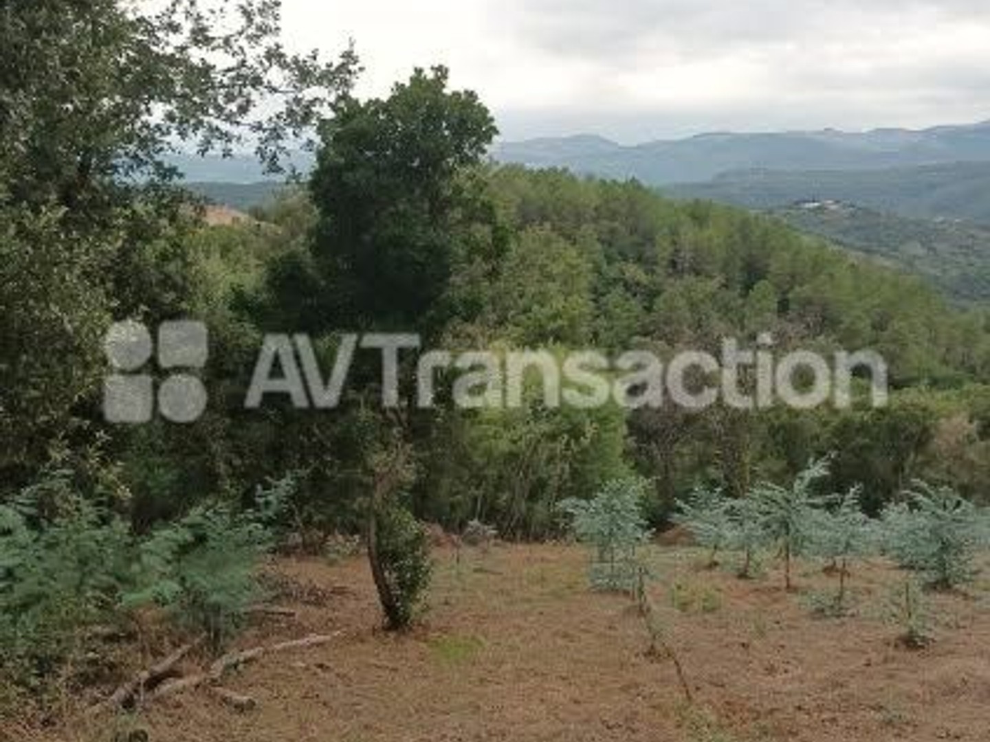 TANNERON : Terrains agricole non constructible 1515m2 et 530m2
