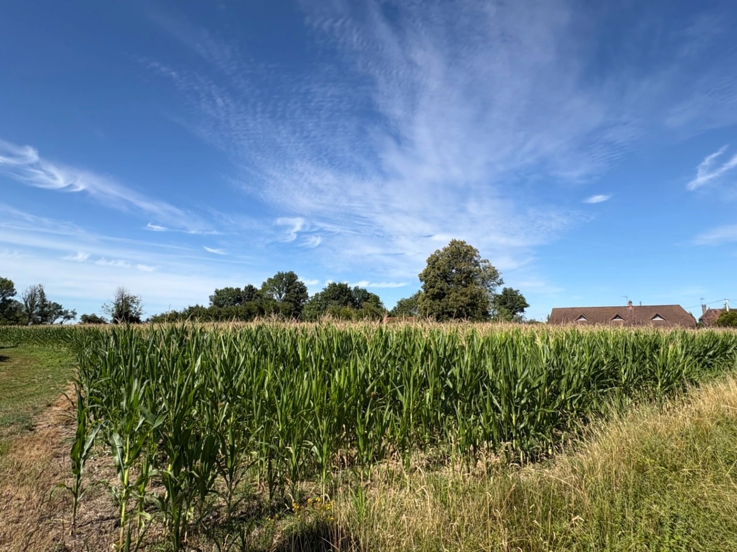 Terrain 9020 m²