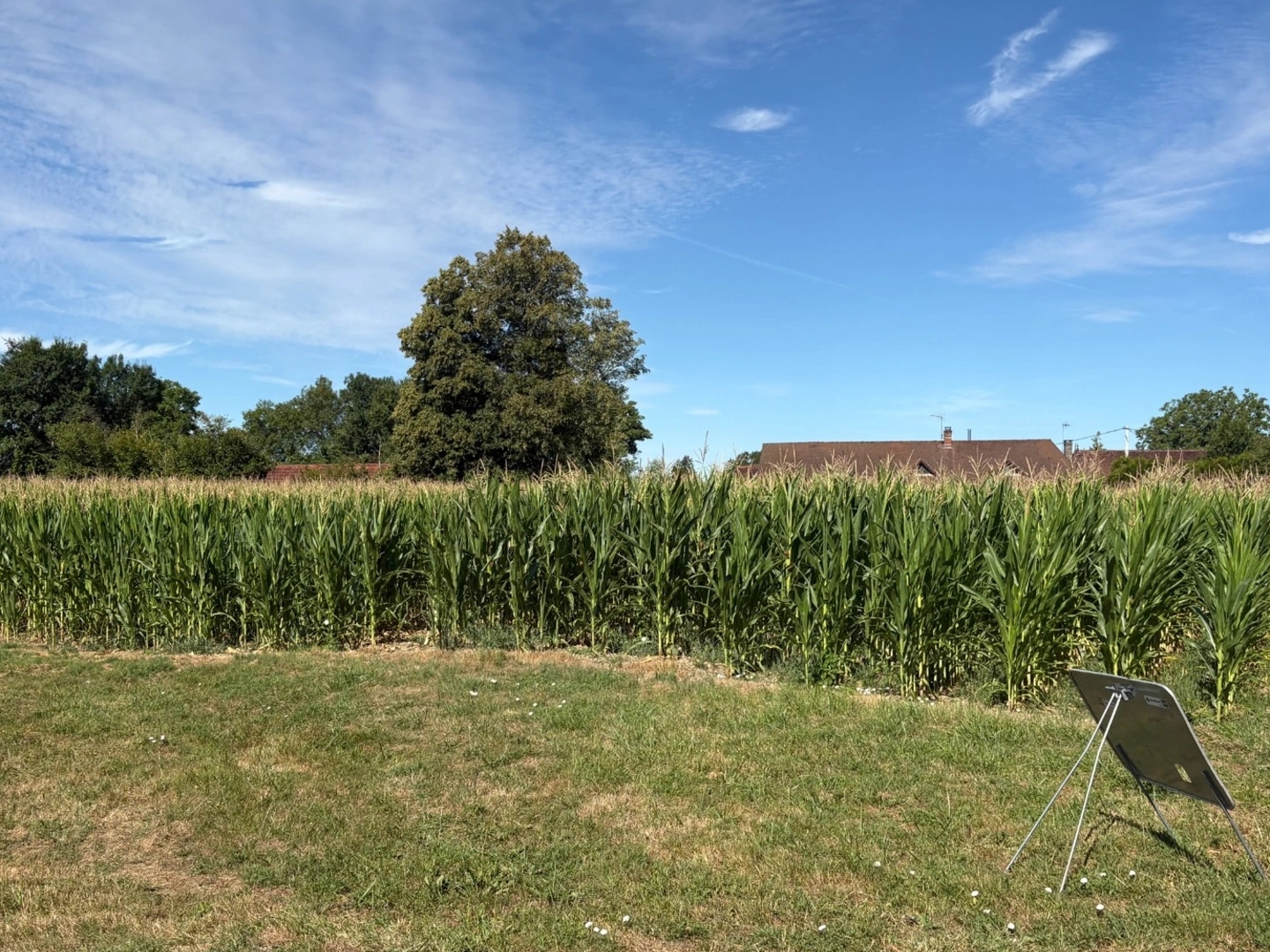 Terrain à vendre - 9020m2 - Sens-Sur-Seille (71330)
