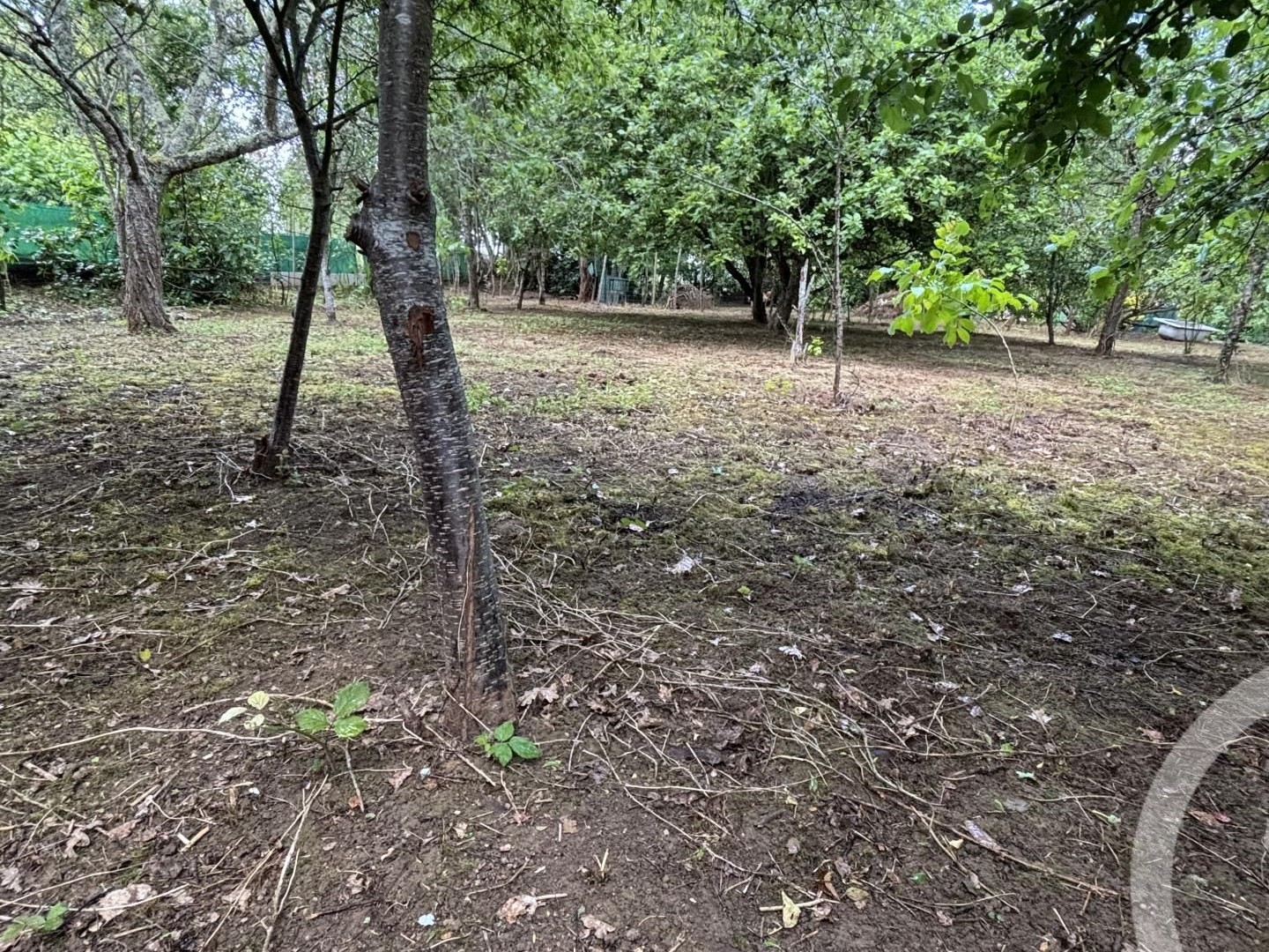 Terrain 1824 m²