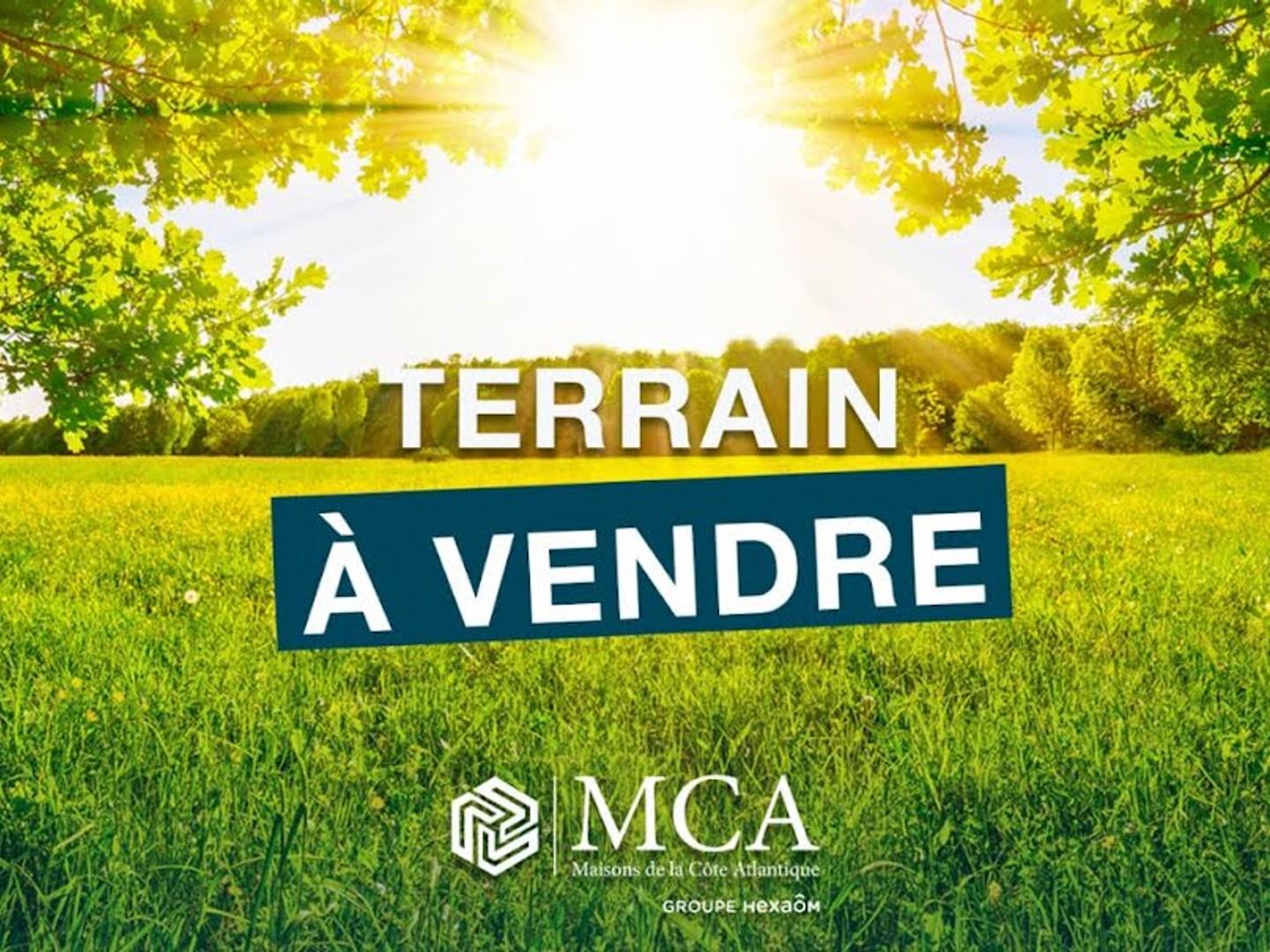 Terrain 330 m²