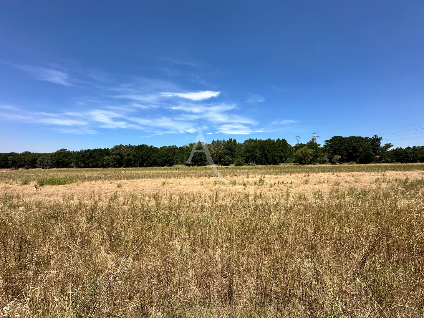 Terrain à vendre - 8421m2 - Vinon-Sur-Verdon (83560)