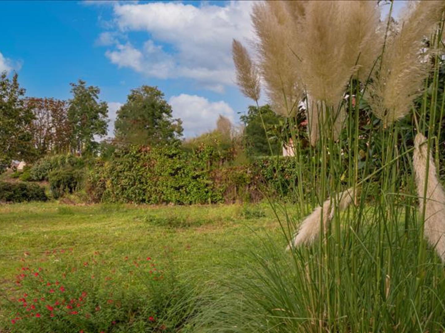 Terrain à bâtir de 0 pièces principales