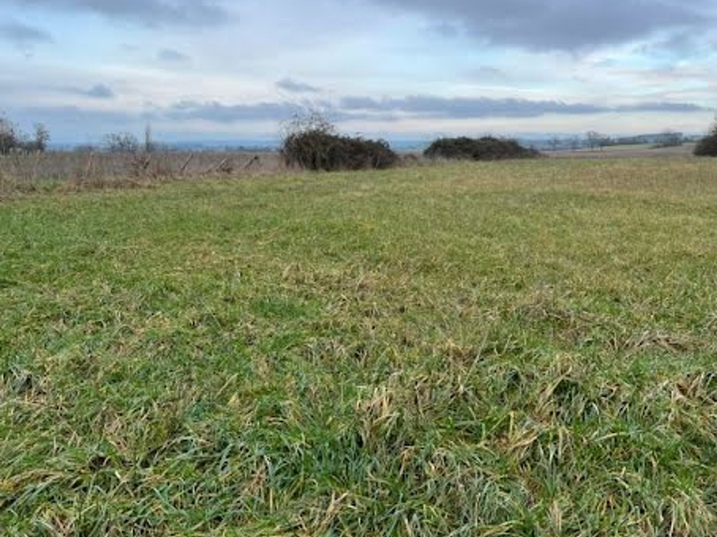 Terrain 682 m²