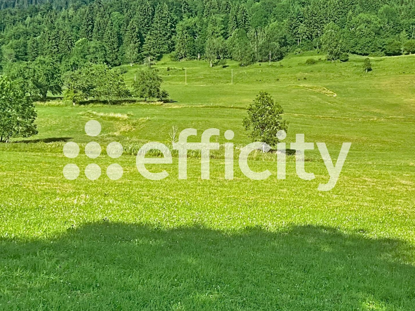 Terrain 13020 m²