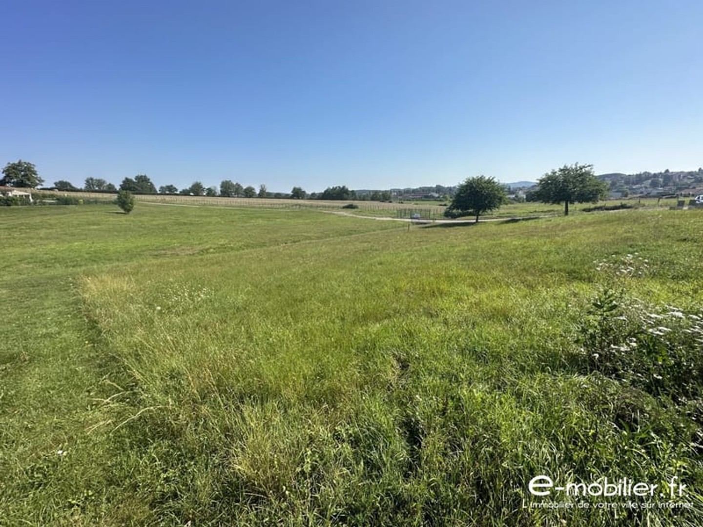 Terrain 805 m²