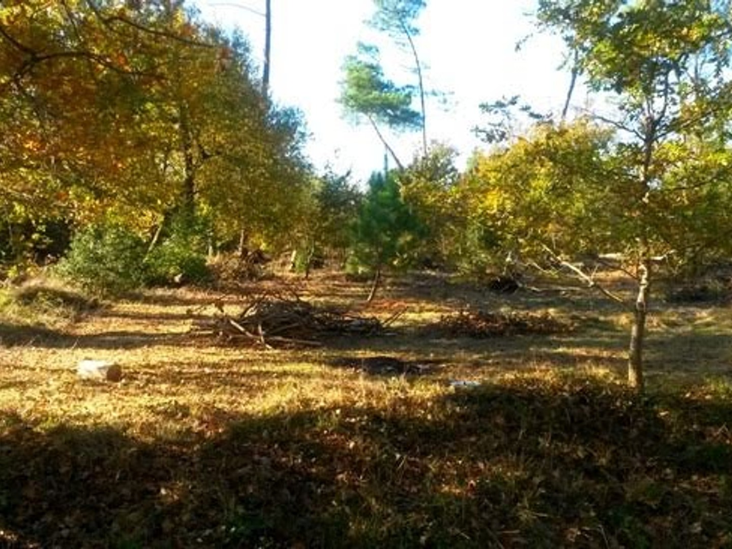 Terrain 670 m²