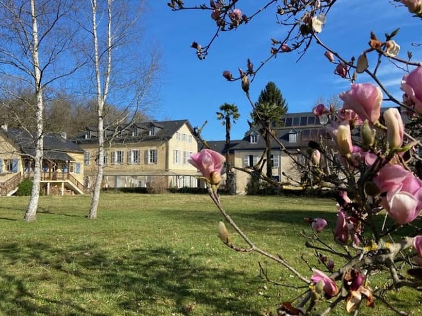 Propriété 53 pièces 1200 m²