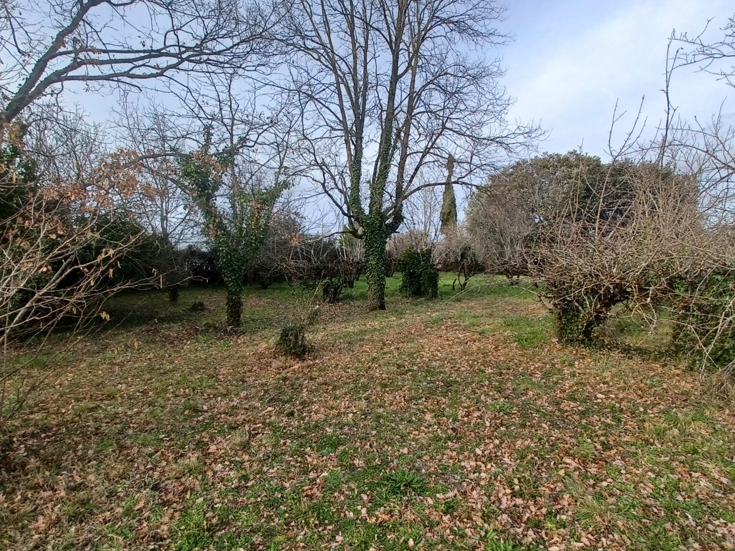 Terrain à vendre - 1389m2 - Vénès (81440)