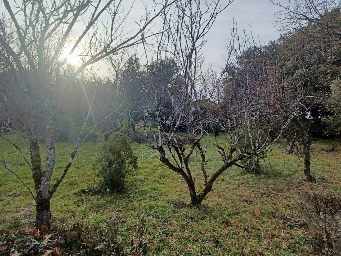 Terrain à vendre - 1389m2 - Vénès (81440)