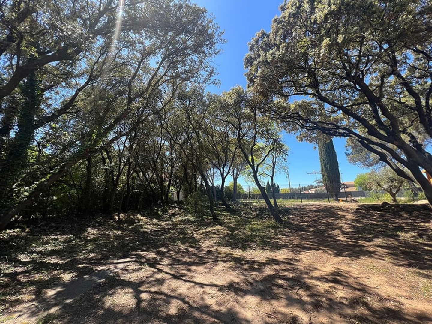 Terrain à vendre - 615m2 - Castries (34160)