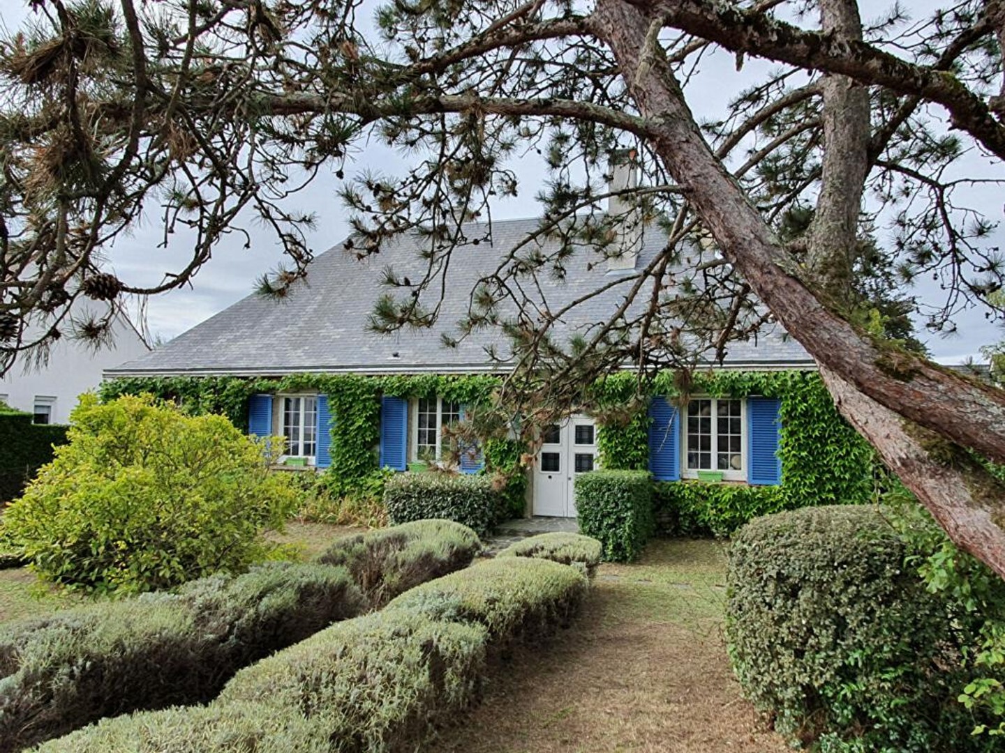 Maison à vendre - 6 pièces - 180m2 - Châteauroux (36000)