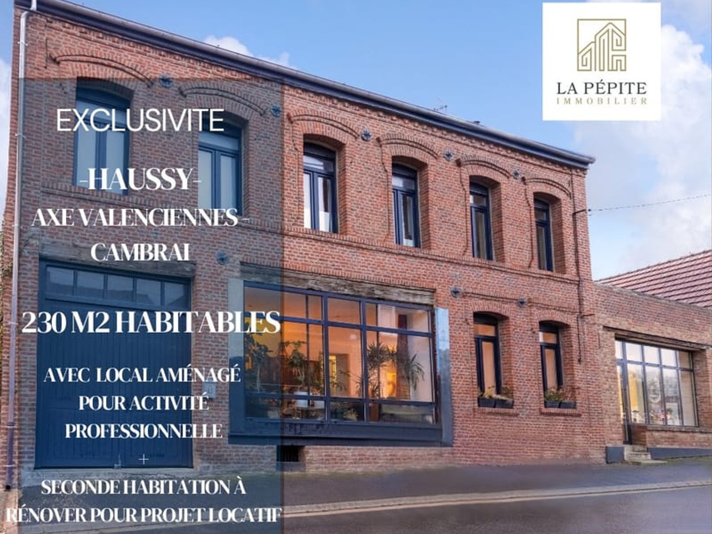 Maison 5 chambres avec local professionnel jardin et piscine