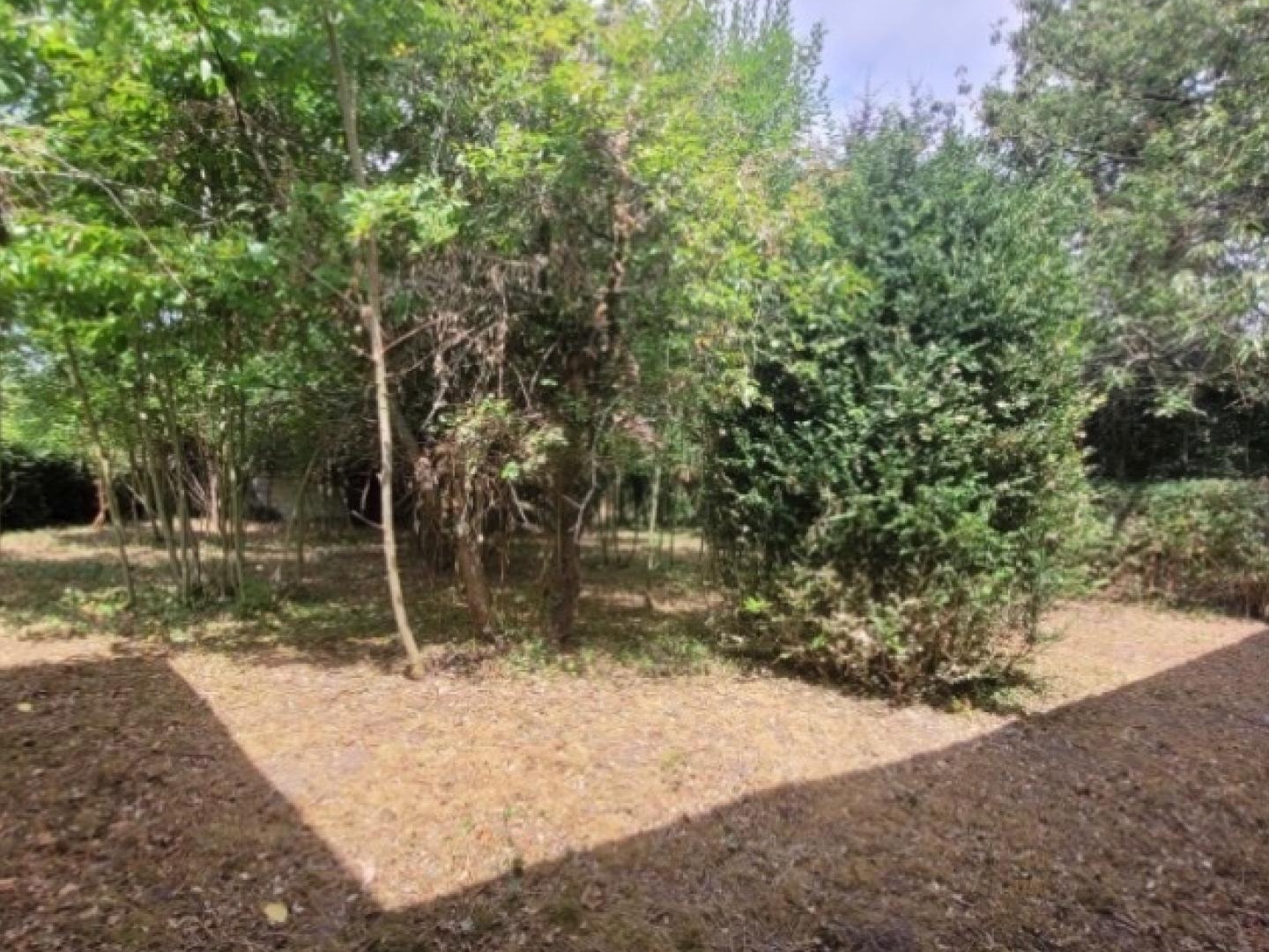 Rénovation complète, à mettre à votre goût