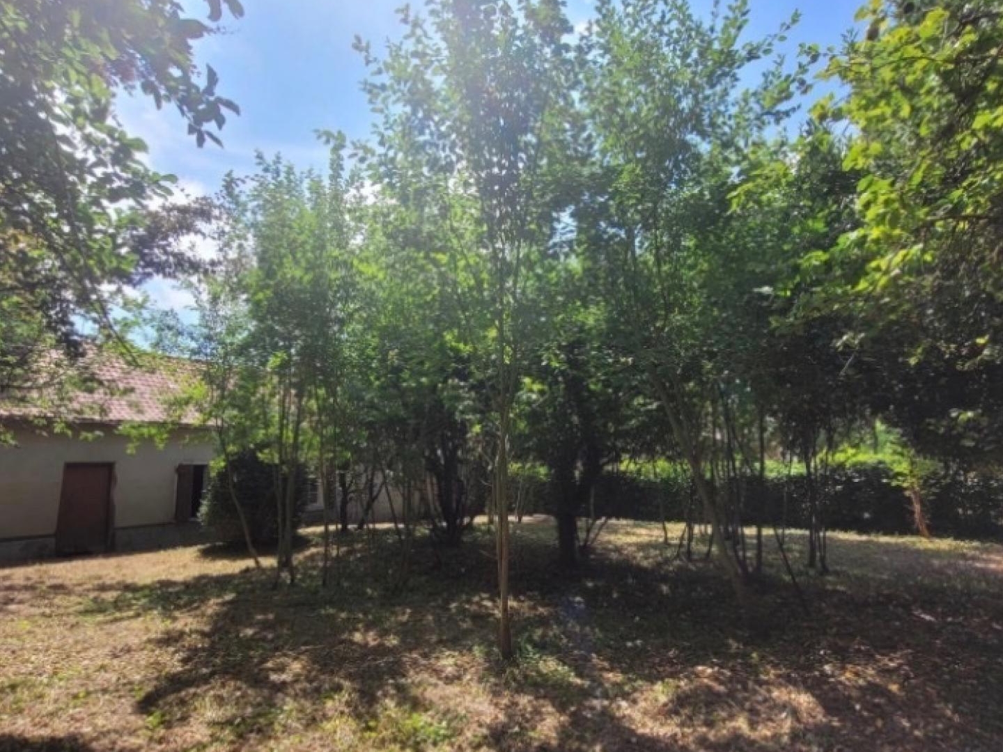Maison à vendre - 3 pièces - 80m2 - Forceville-En-Vimeu (80140)