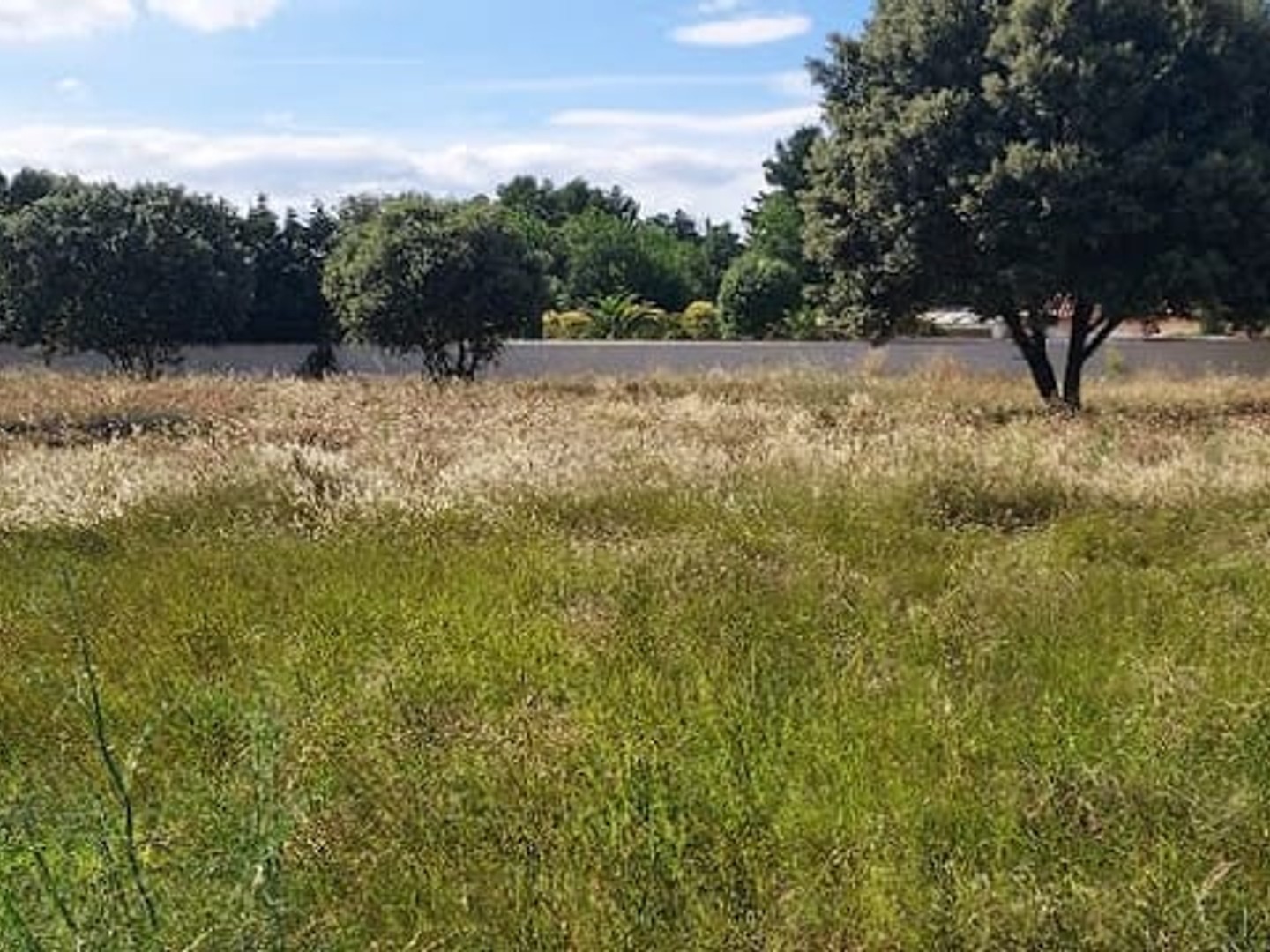 Terrain 481 m²