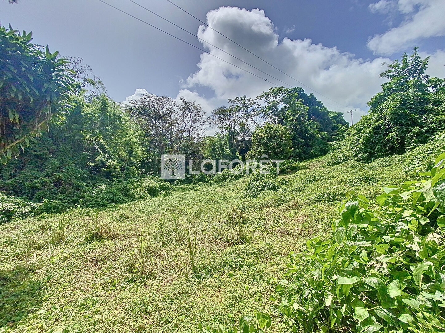 Terrain 1650 m²