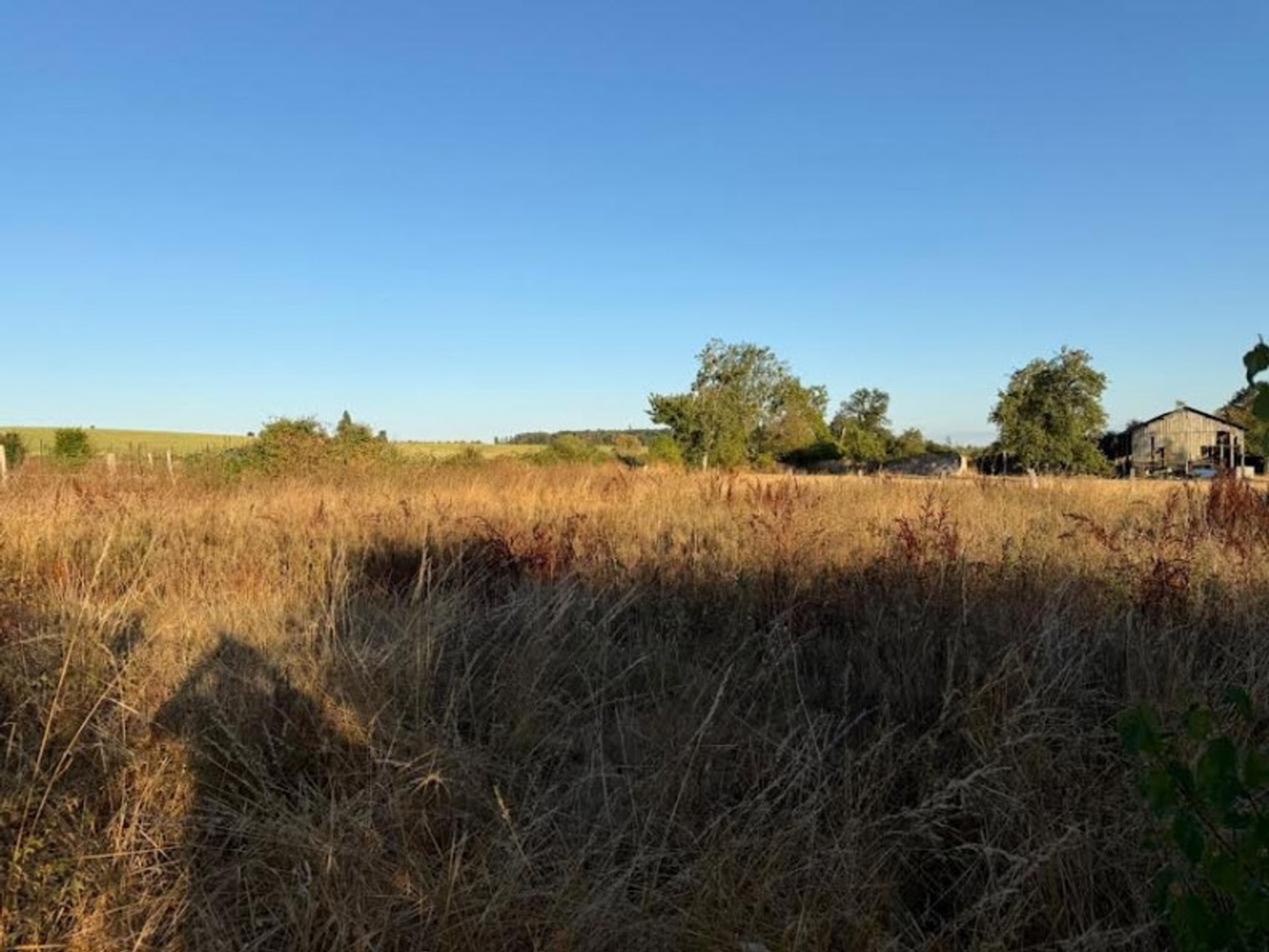 Terrain constructible 1143 m²