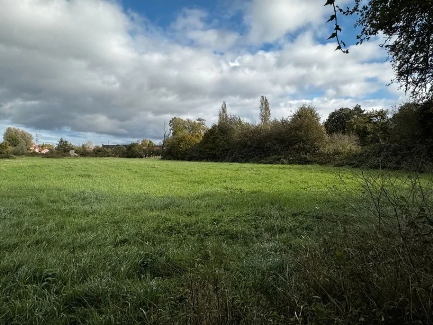 Terrain 1000 m²