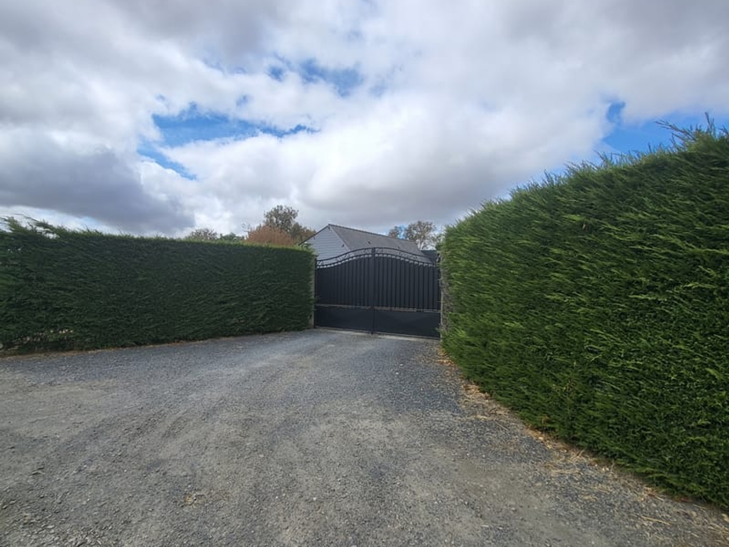 Maison à vendre - 5 pièces - 209m2 - Torigny-Les-Villes (50160)