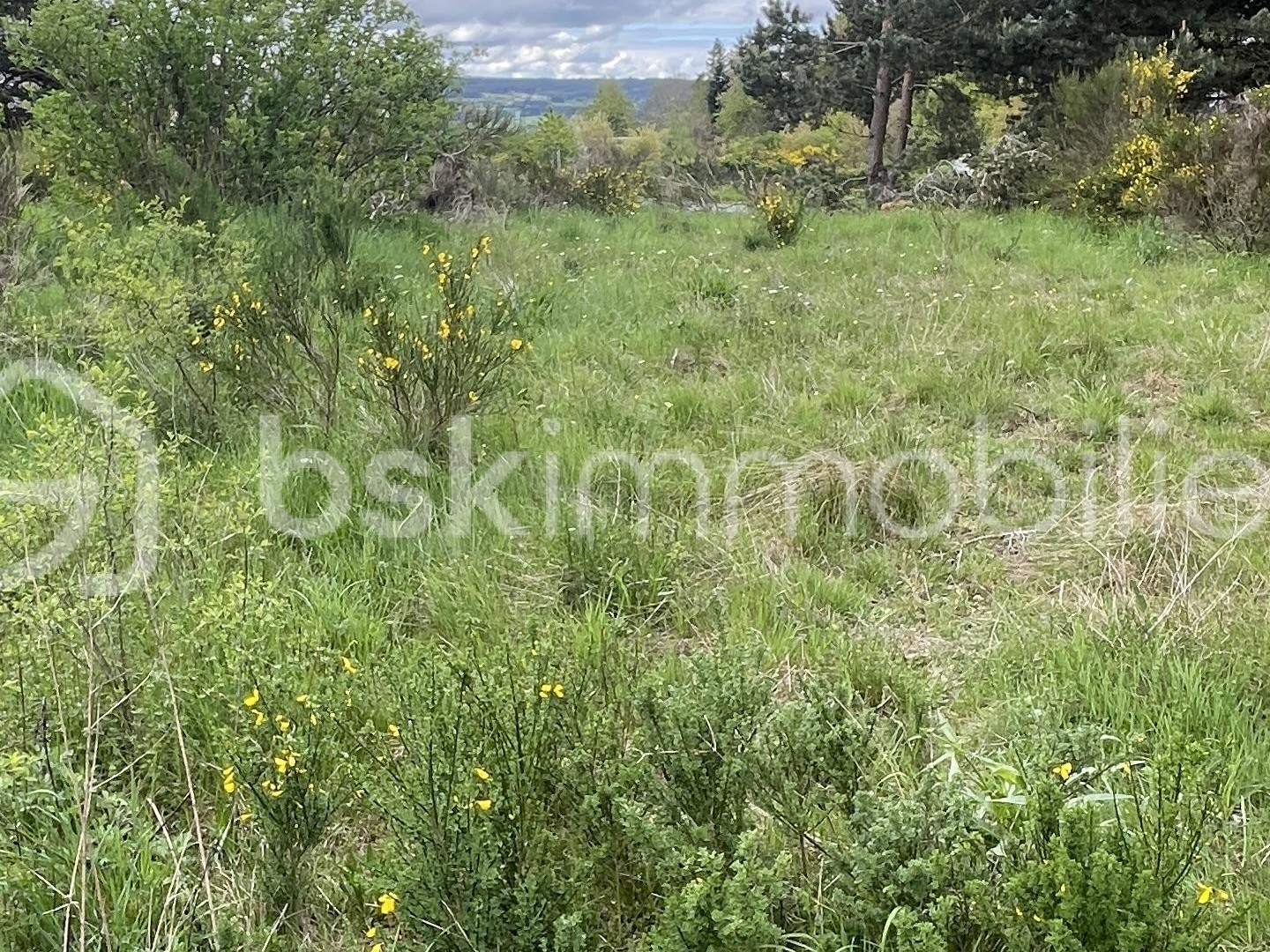 Terrain 920 m²