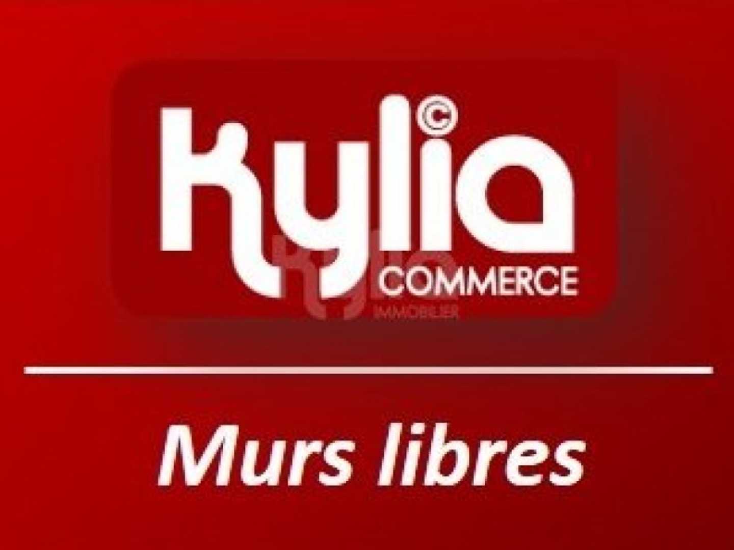Magasin de photo 43 m²