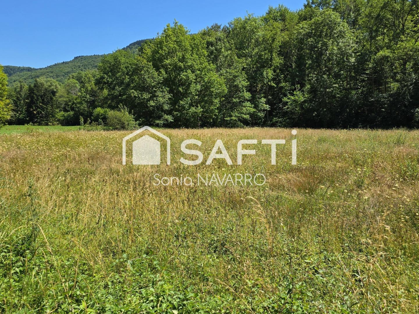 Terrain 3002 m²